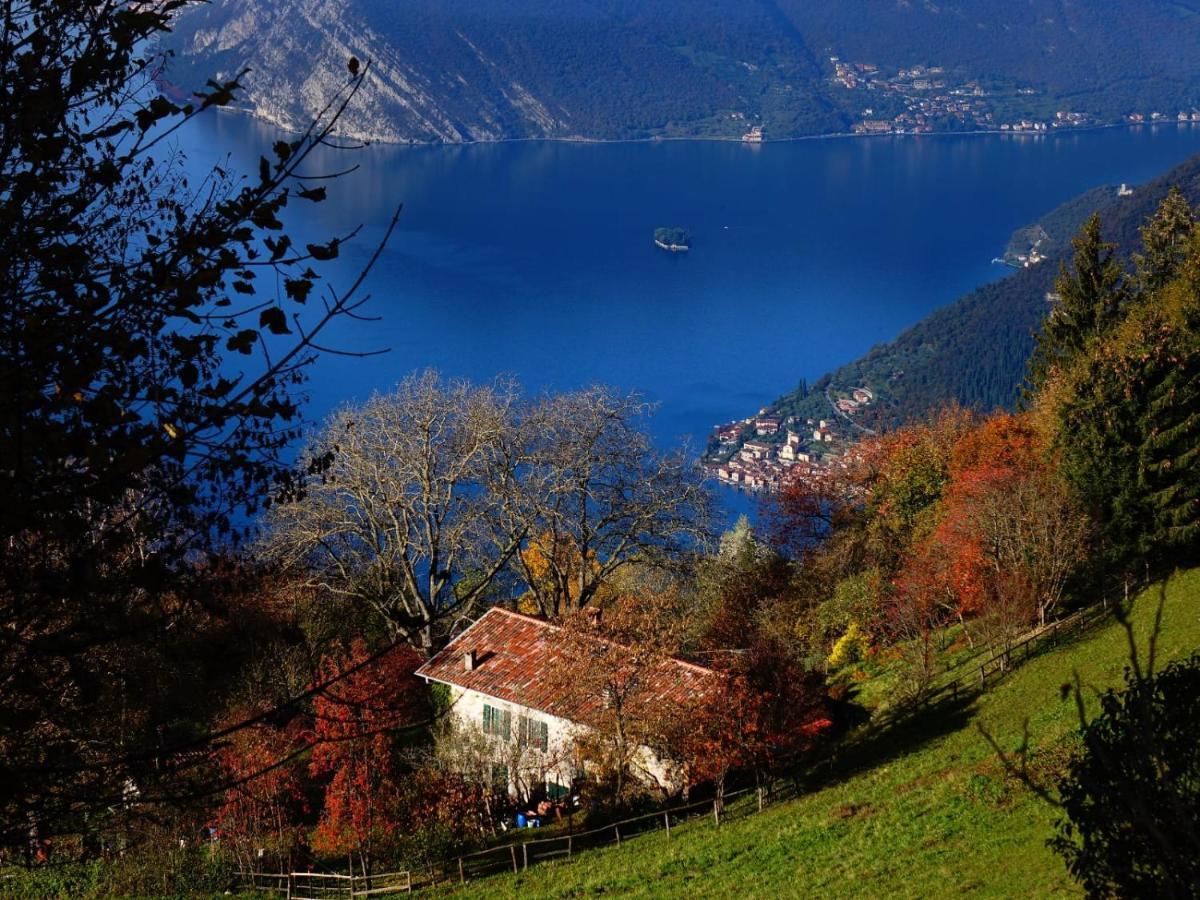 B&B Forsesiforseno Sulzano Bagian luar foto